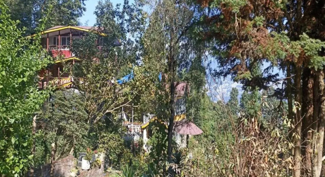 Superview - Farmstay with Waterfall by StayApart, Rezervovat Farmářský pobyt Farmářské pobyty v Sikkim, Farmářský pobyt