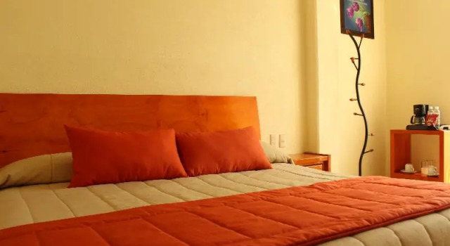 Одноместный номер Standard Hotel Señorial Tlaxcala