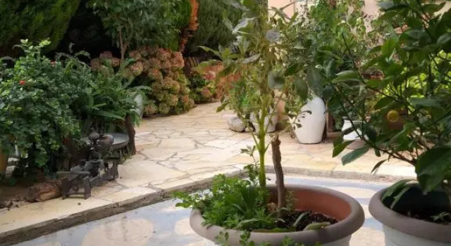 Студия Deluxe Guesthouse Villa Joanna&Mattheo