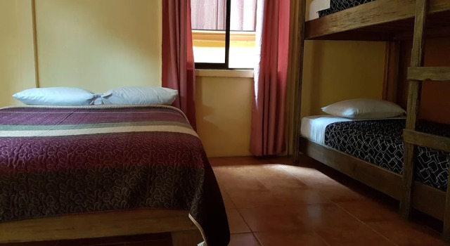 Номер Comfort Greemount Hotel