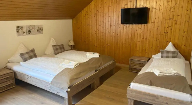 Трёхместный номер Standard Hote Hasli