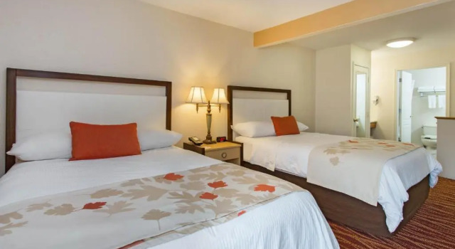 Номер Deluxe Hawthorn Suites by Wyndham Allentown-Fogelsville