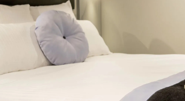 Одноместный номер Standard Hôtel Boutique Richelieu, Lyon Gare Part-Dieu