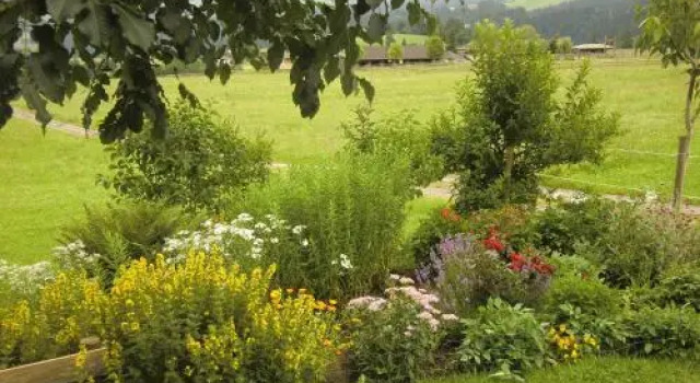 Weberhof Hopfgarten