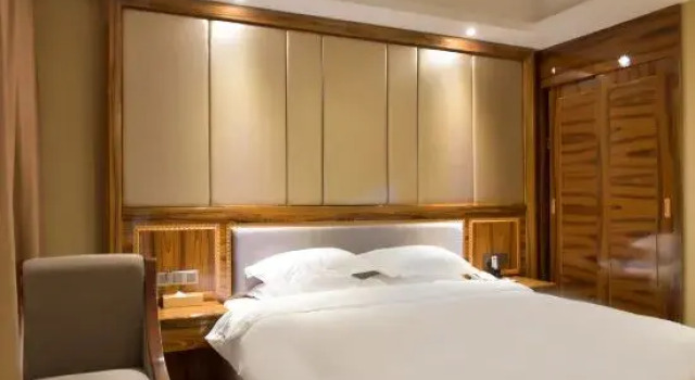 Люкс Business Vienna Hotel (Yongzhou Jianghua)