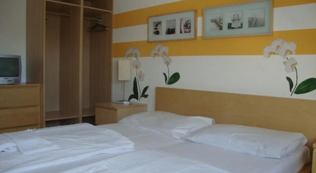 Двухместный номер Standard Lenas Donau Hotel
