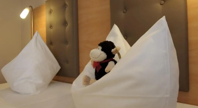 Номер Standard Hotel Adlerbräu