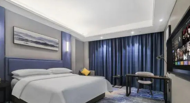Люкс Premier Vienna Hotel (Foshan Yihuan Lishui)