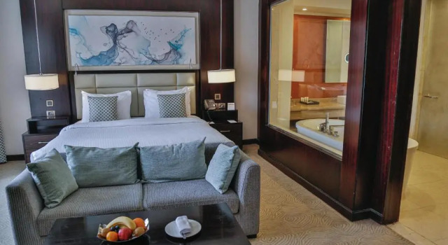 Двухместный номер Grand Deluxe с видом на город Triumph Luxury Hotel