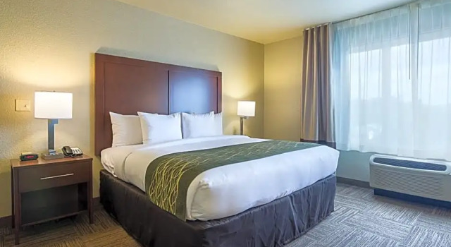 Люкс Comfort Inn Bentonville - Crystal Bridges