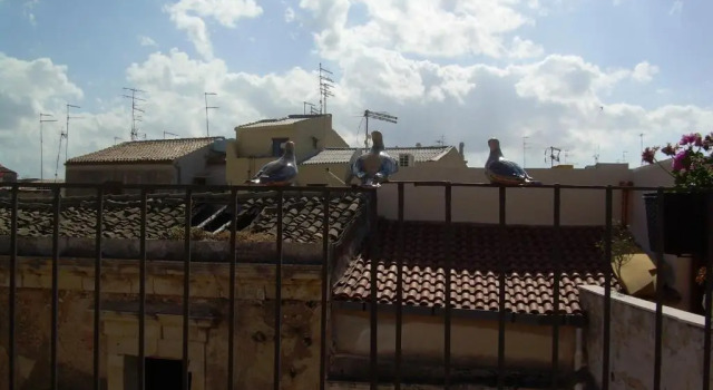 Апартаменты La Colombaia Di Ortigia