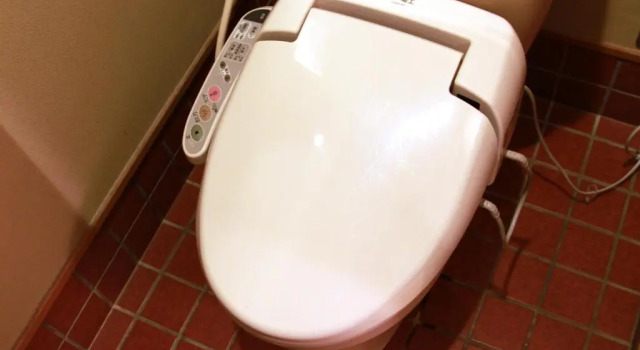 Номер Japanese-Style Kawayu Onsen Fujiya