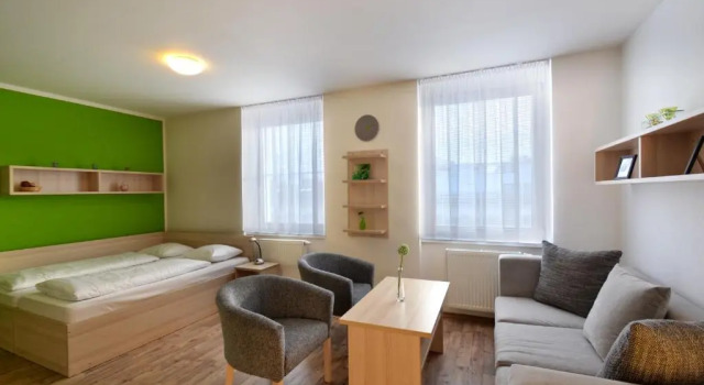Двухместный номер Standard Hotel Palác