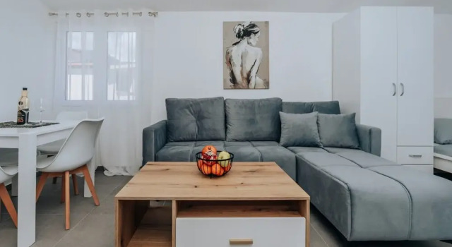 Студия Classic Apartments Milivojevic