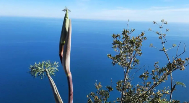 Appartamento mare e monti Two, Book Lejlighed Pimonte Campania