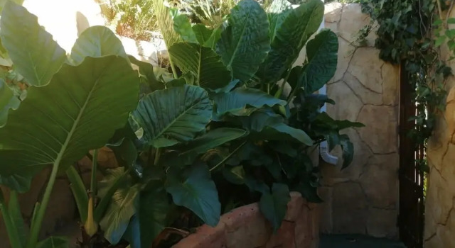 Casablanca Cabanas Guesthouse, Забронировать Отель Отели Фри-Стейт с парковкой, Парковка