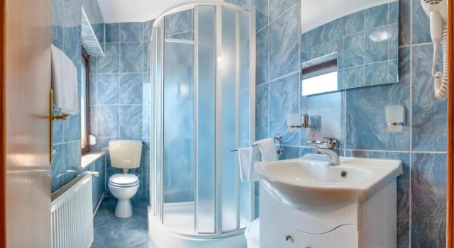 Номер Standard Casa Din Noua
