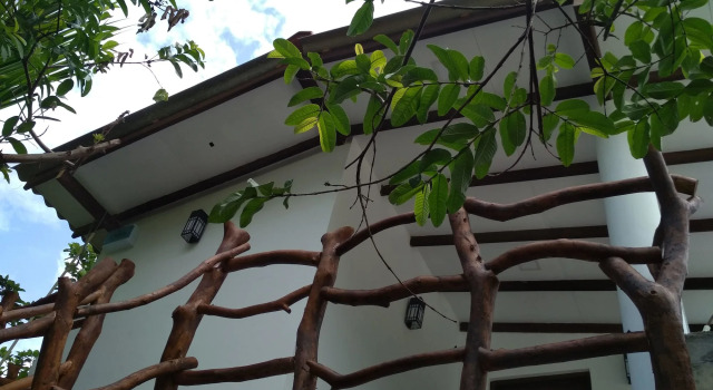 Sigiriya Danu homestay
