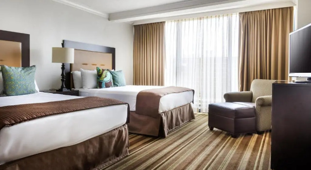 Четырёхместный номер Standard The San Luis Resort Spa & Conference Center