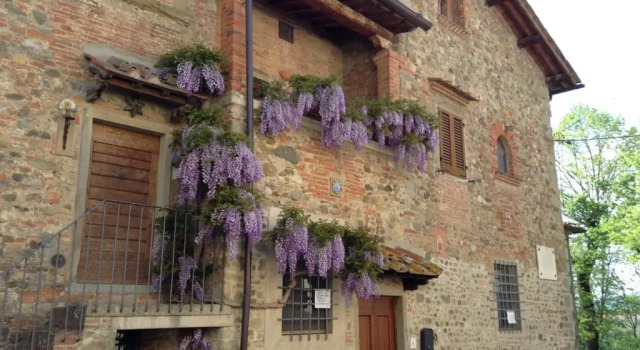 Casa Vacanze Il Glicine, Buchen Sie Hotel Laterina Valdarno