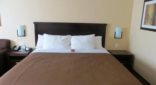 Deluxe Suite Poplar Tree Inn