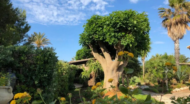 Апартаменты I Giardini Di San Vito