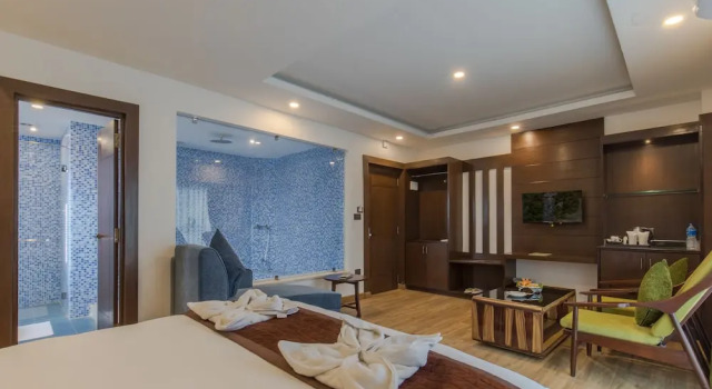 Двухместный люкс Mourya Hotel
