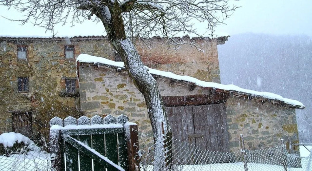 Masía El Güell, Reserva ahora Hotel Hoteles en Osona con desayuno, Desayunos