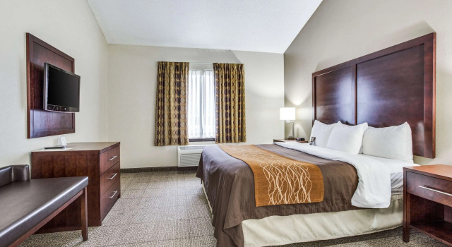 Двухместный люкс Comfort Inn & Suites Love Field-Dallas Market Center