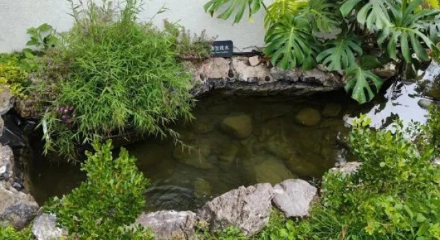 Huangguoshu Cuiwei Xianning Homestay