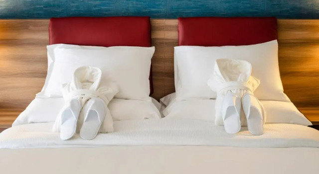 Двухместный номер Superior Mercure Geneva Airport