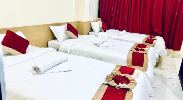 Номер Deluxe Chitwan Business Hotel