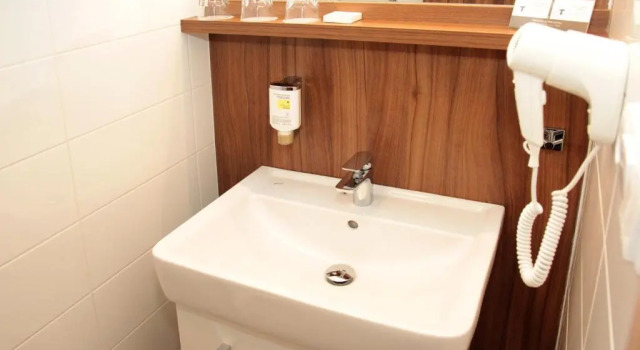 Номер Business Hotel Baltaci Starý Zámek