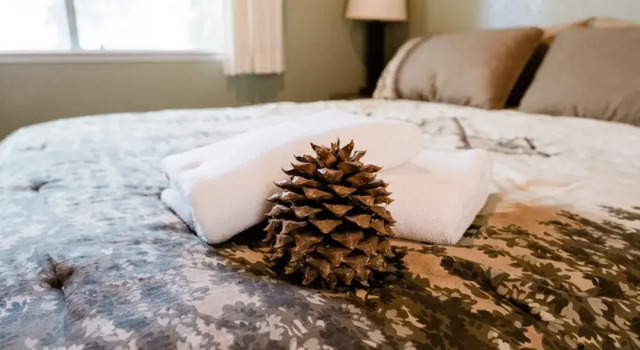 Pinecone Getaway, Buchen Sie Ferienhaus Oakhurst Yosemite National Park