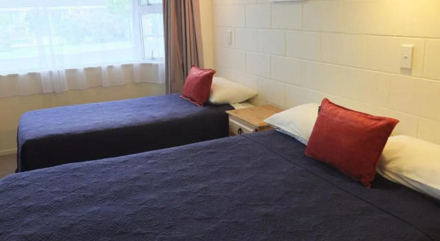 Двухместная студия Colonial Court Motel