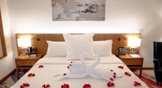 Номер Superior Golden new hotel