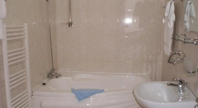 Двухместный номер Standard Hotel Delaf