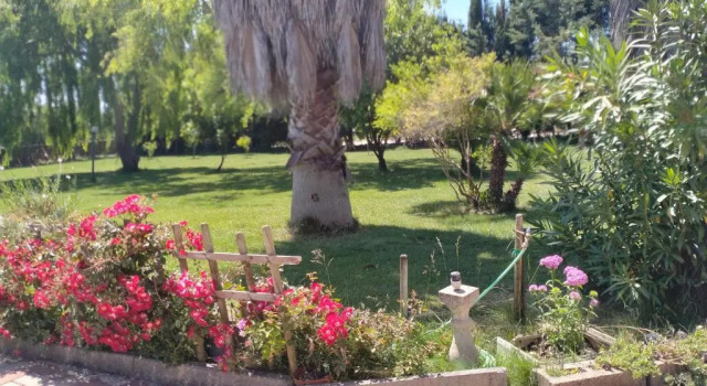 Апартаменты Il Giardino delle Rose A