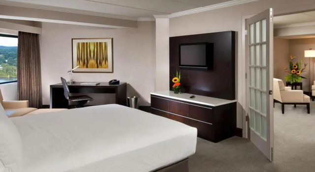 Люкс Hilton Albany