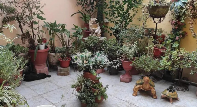 Colonial House Instinto Ecuador, Book Hotel Quito Sierra