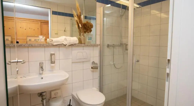 Номер Standard Hotel Hofgut Imsbach Lapointe