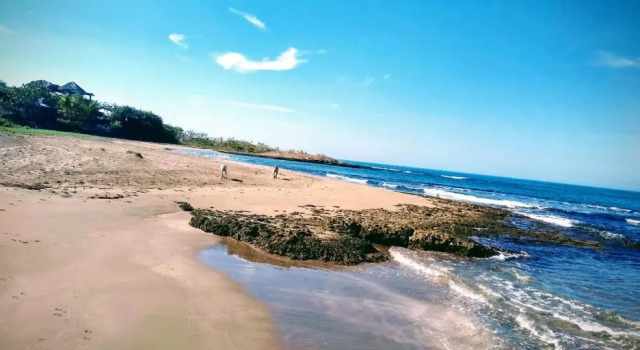 3Trees Hostel, Prenota Ostello Treasure Beach Saint Elizabeth