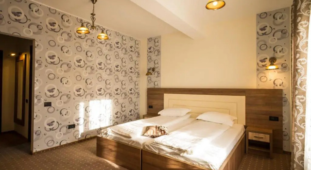 Pensiunea Royal Spa, Varaa Lomakeskus Hotellit Carpathians - Romania uima-altaalla, Uima-allas