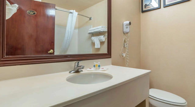 Двухместный люкс Comfort Suites Jacksonville Airport