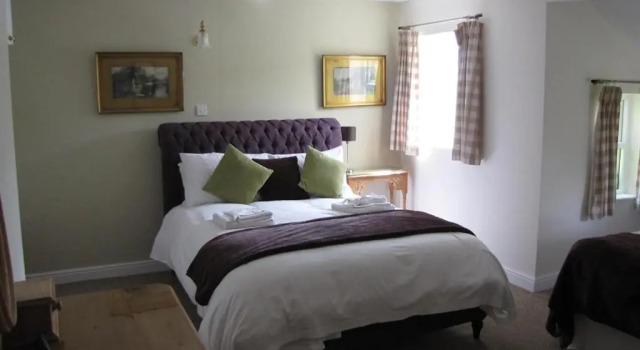 Номер Deluxe Wellington Inn