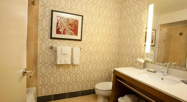 Двухместный номер Standard с балконом и с видом на город Hilton Palm Springs