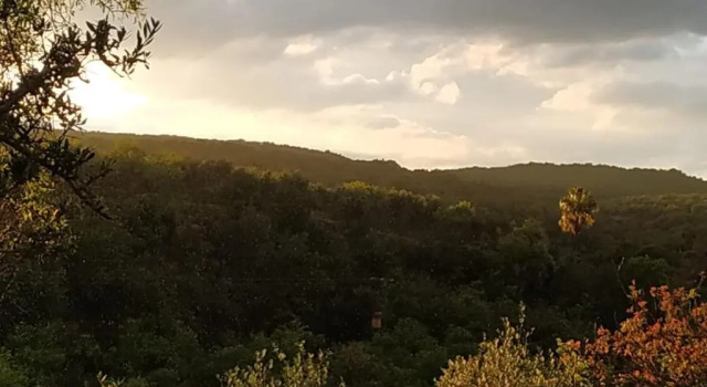 Апартаменты Centro de Naturaleza Cañada Verde "To relax in Enchanted Forest"