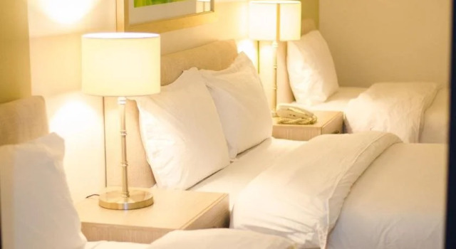 Hotel Manakin