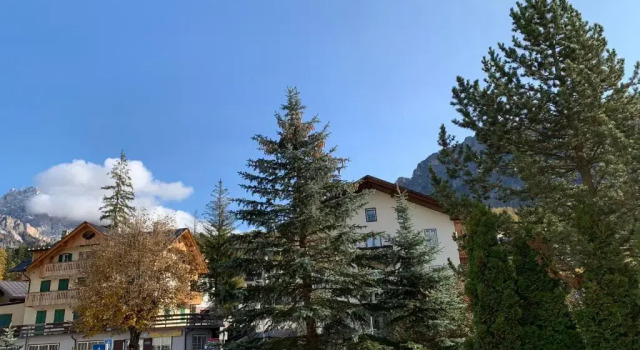 Двухместный номер Standard Hotel Serena Cortina