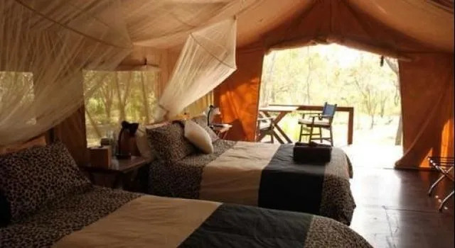 Jabiru Safari Lodge, จอง โรงแรม Koah ควีนส์แลนด์